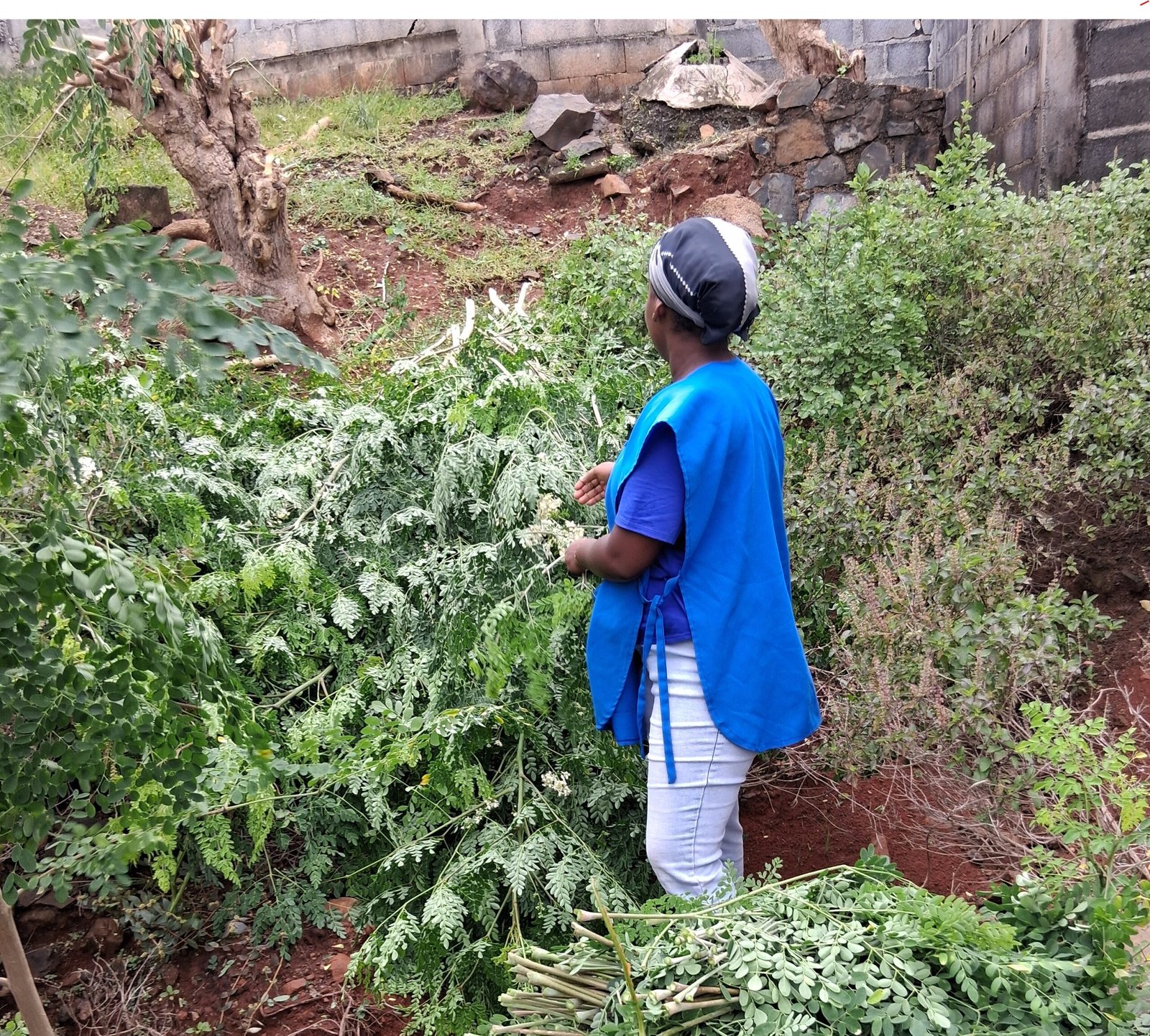 La Kaza à Services 976 — Prestations à la demande